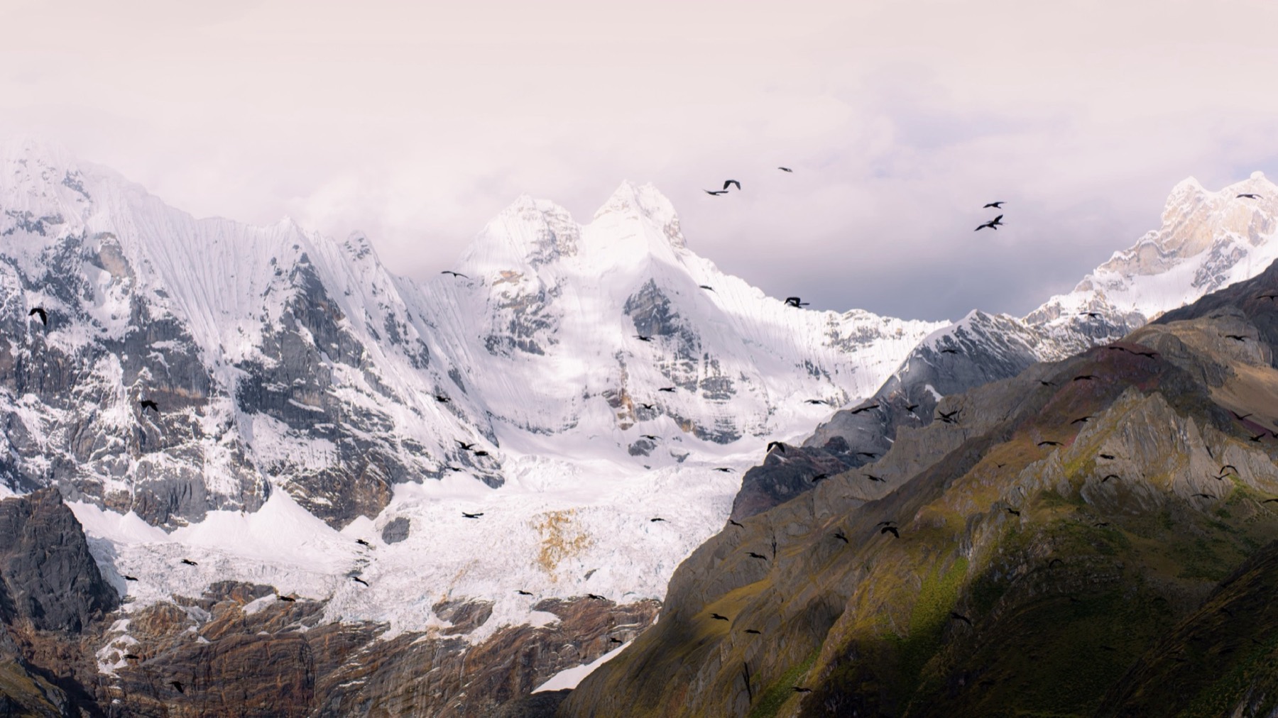 Huayhuash Circuit, Peru — photograph 18