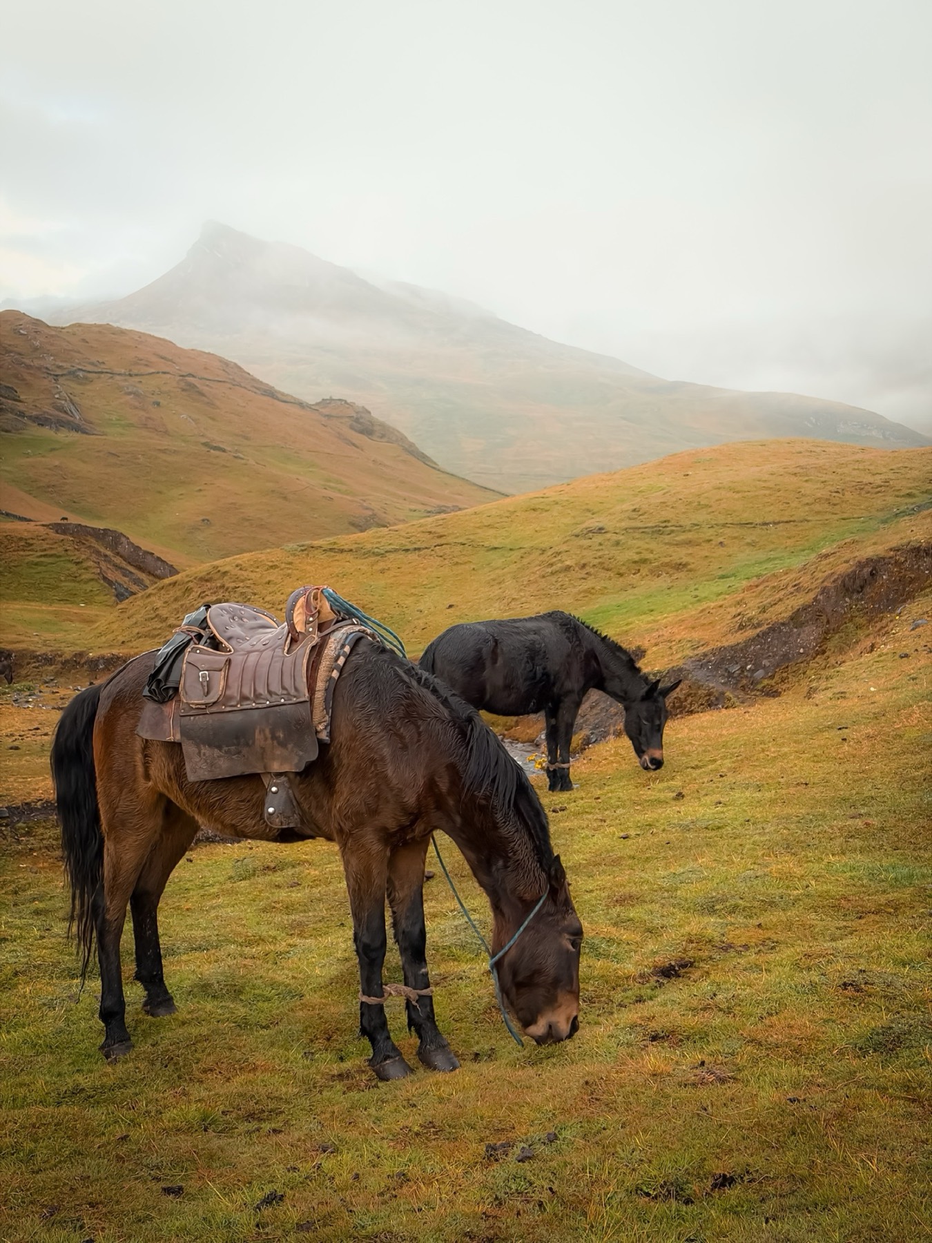 Huayhuash Circuit, Peru — photograph 7