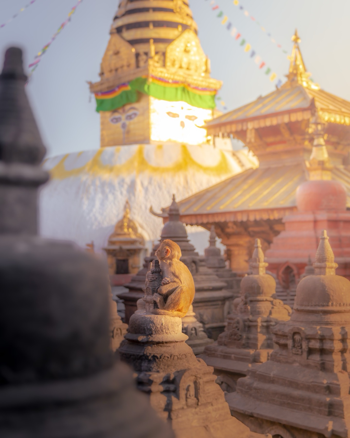 Three Pass Trek, Nepal — photograph 14