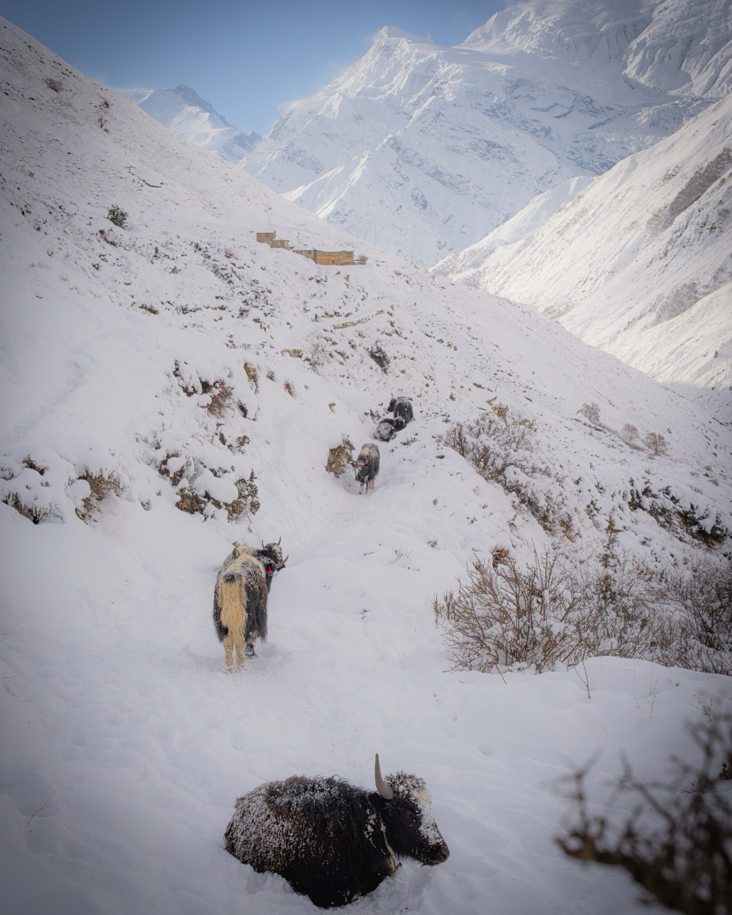 Three Pass Trek, Nepal — photograph 3
